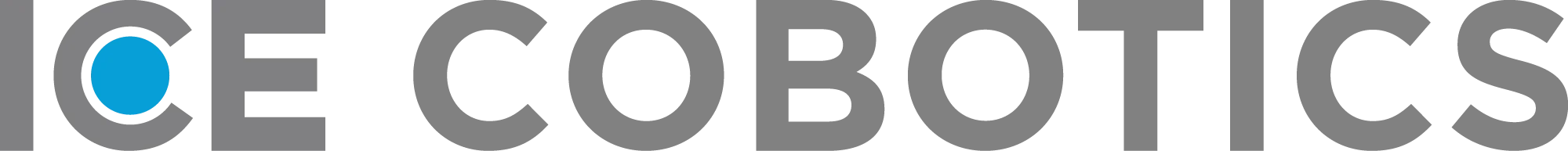 ICE USA Logo